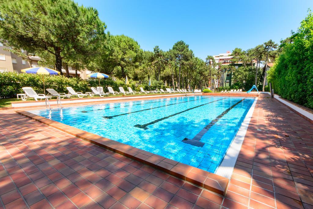 Apartment Albatros *